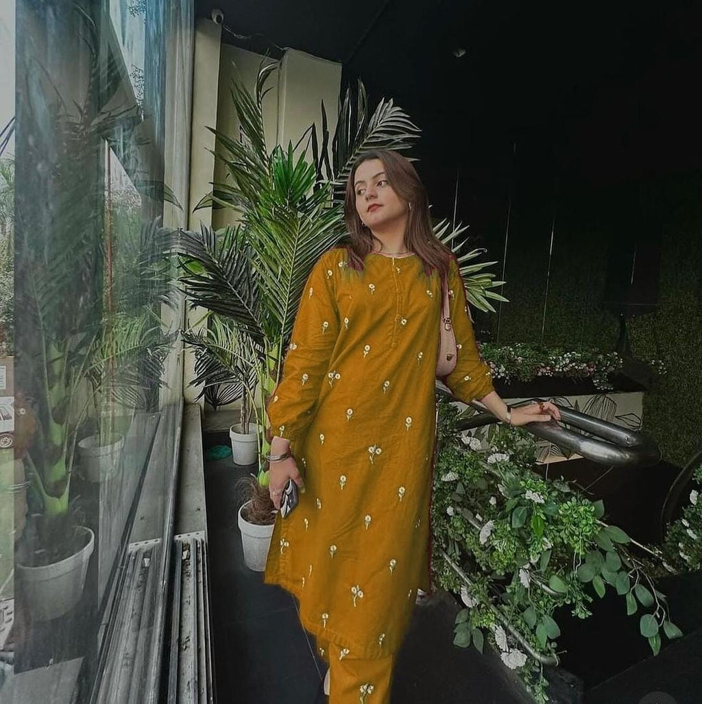 2PC Trendy Embroidered Dress