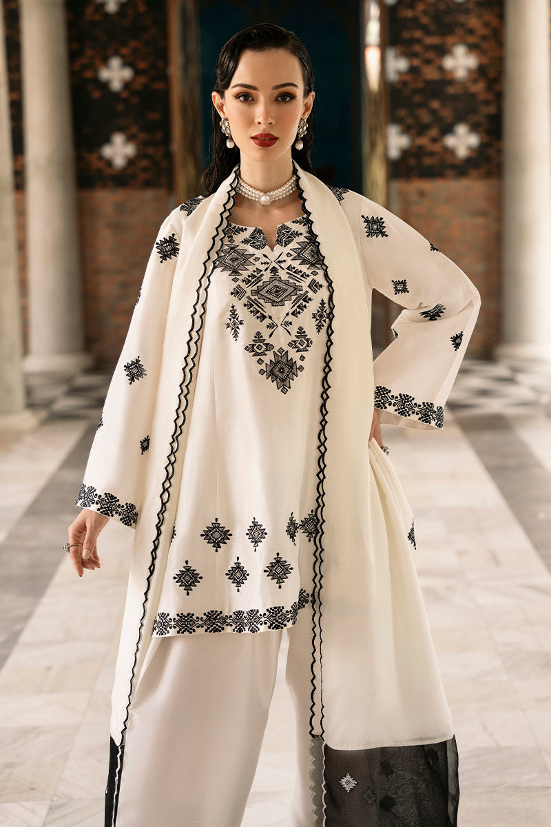 Tana neer 2pc embroidery stitch suit