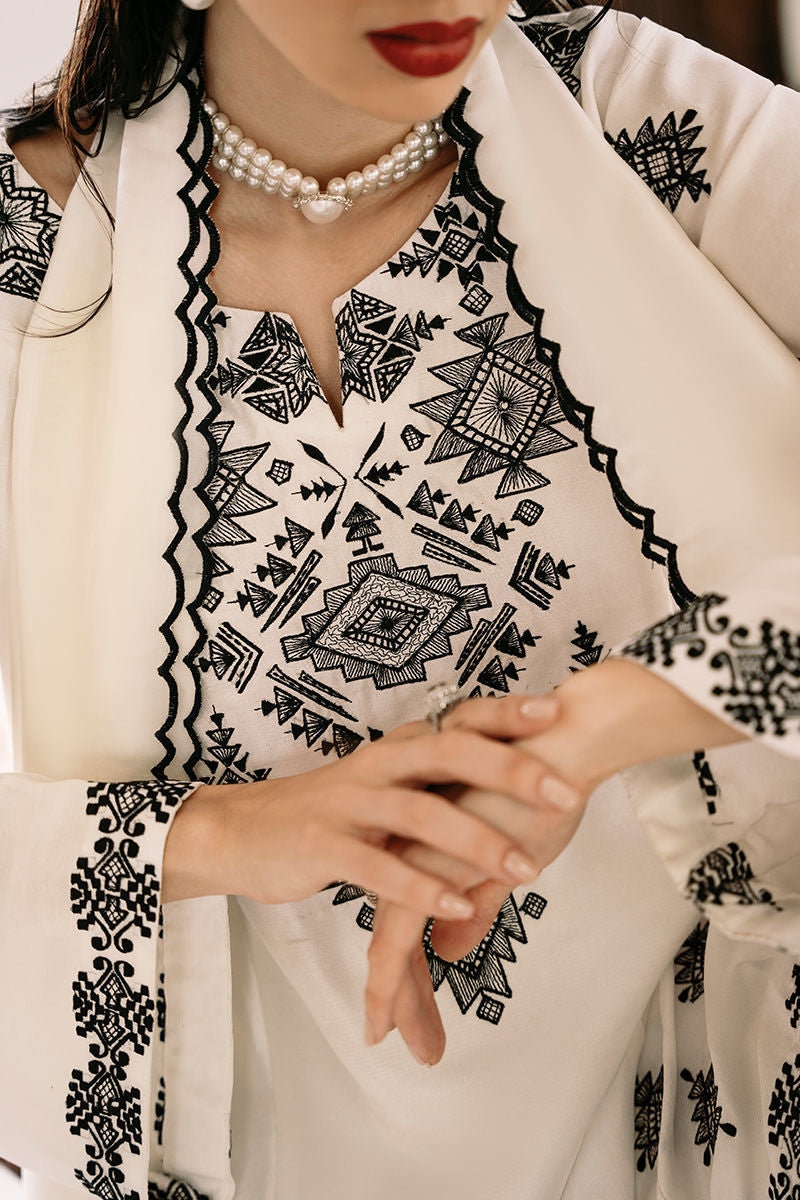 Tana neer 2pc embroidery stitch suit